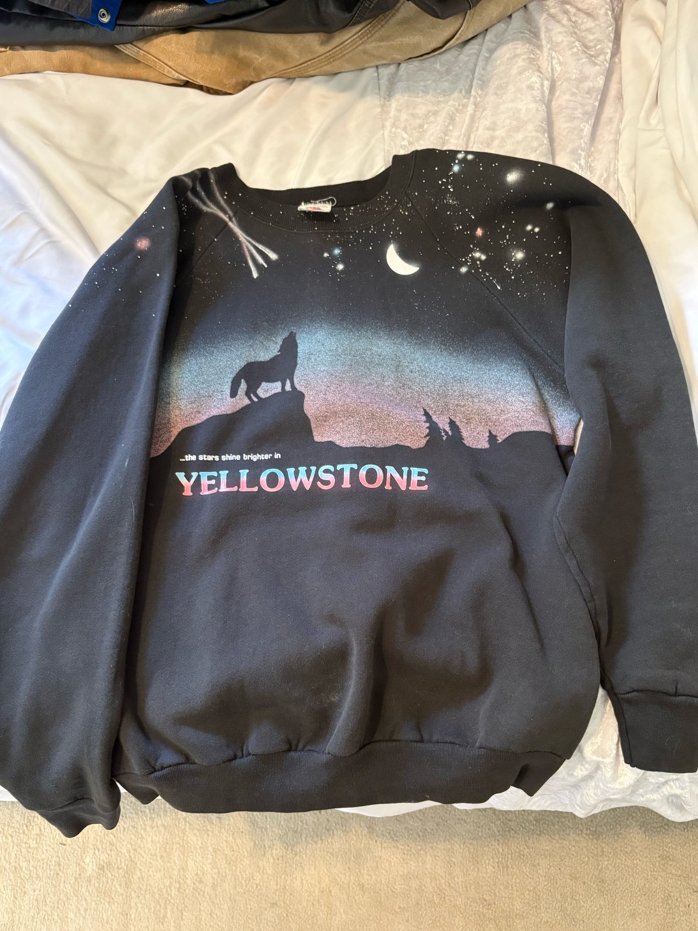 Vintage Yellowstone Graphic Crewneck with Pastel Gradient